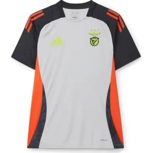 Camisola treinamento cinza 2024/25